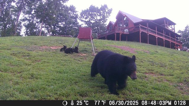 4760 Anderson Road, Hiawassee, GA 30546