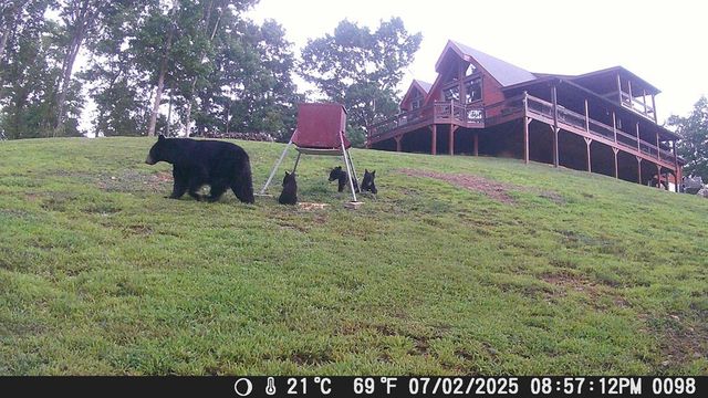 4760 Anderson Road, Hiawassee, GA 30546