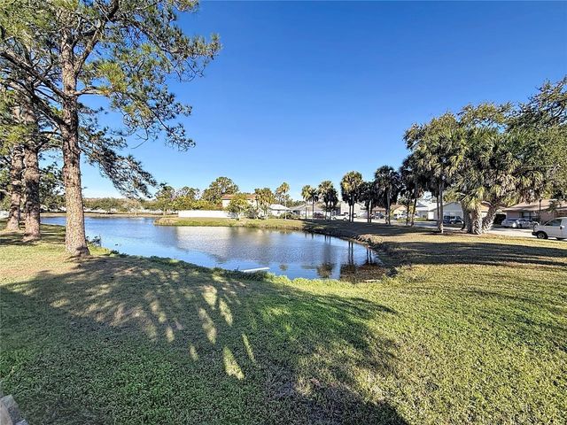 5103 STONEHAVEN COURT, Tampa, FL 33624