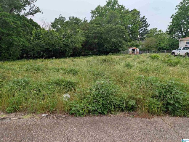4427 CARVER AVENUE SW, Birmingham, AL 35221