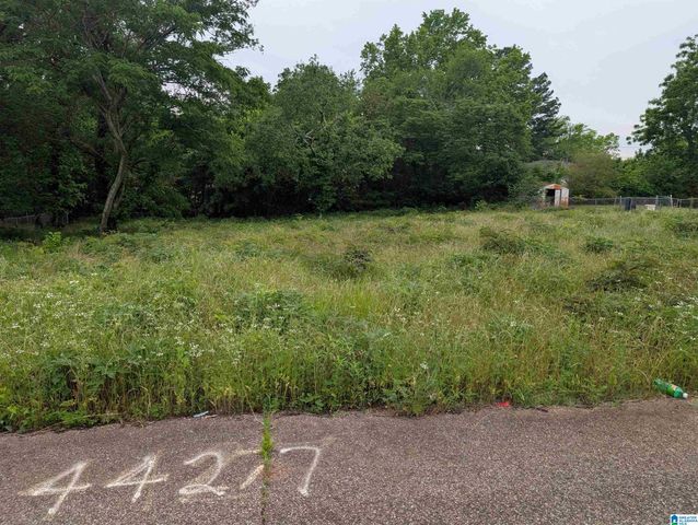 4427 CARVER AVENUE SW, Birmingham, AL 35221