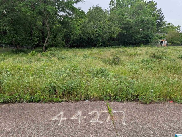 4427 CARVER AVENUE SW, Birmingham, AL 35221