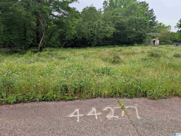 4427 CARVER AVENUE SW, Birmingham, AL 35221