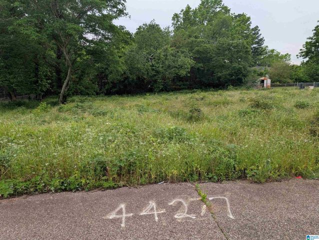 4427 CARVER AVENUE SW, Birmingham, AL 35221