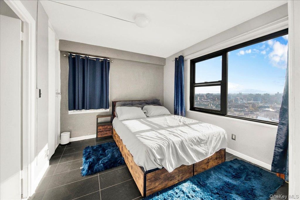 1020 Grand Concourse 17M, Bronx, NY 10451 — photo 4