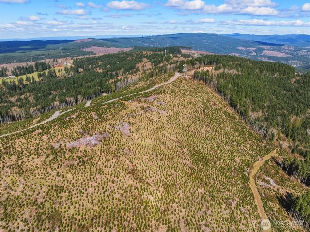 0 Lot 4 Hamilton Heights Road, Kelso, WA 98626