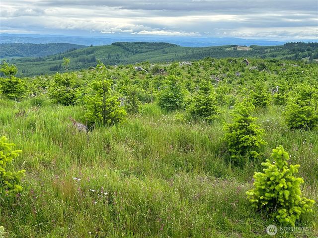 0 Lot 4 Hamilton Heights Road, Kelso, WA 98626