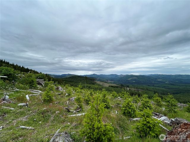 0 Lot 4 Hamilton Heights Road, Kelso, WA 98626