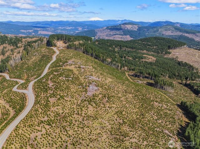 0 Lot 4 Hamilton Heights Road, Kelso, WA 98626