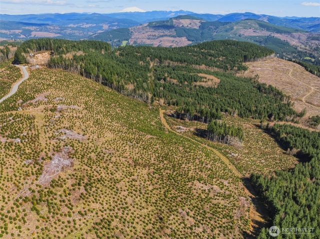 0 Lot 4 Hamilton Heights Road, Kelso, WA 98626