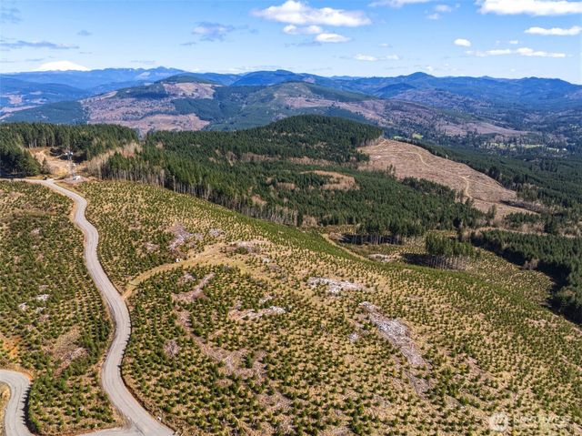 0 Lot 4 Hamilton Heights Road, Kelso, WA 98626