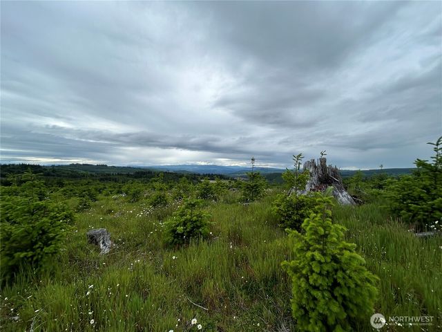 0 Lot 4 Hamilton Heights Road, Kelso, WA 98626