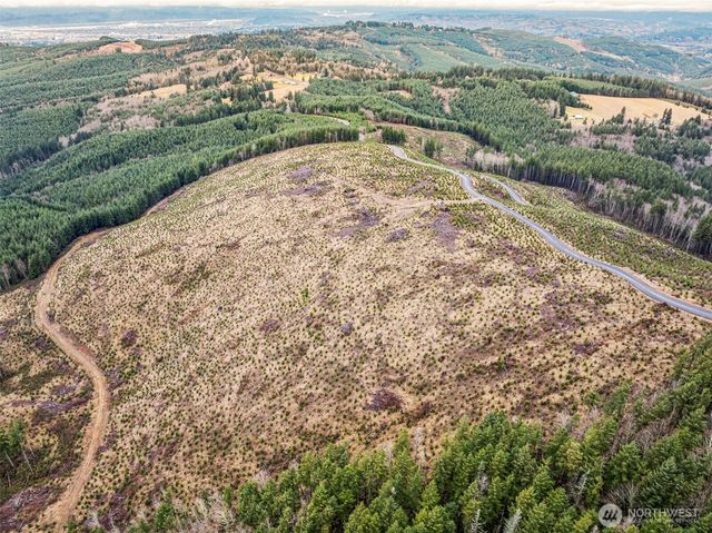 0 Lot 4 Hamilton Heights Road, Kelso, WA 98626