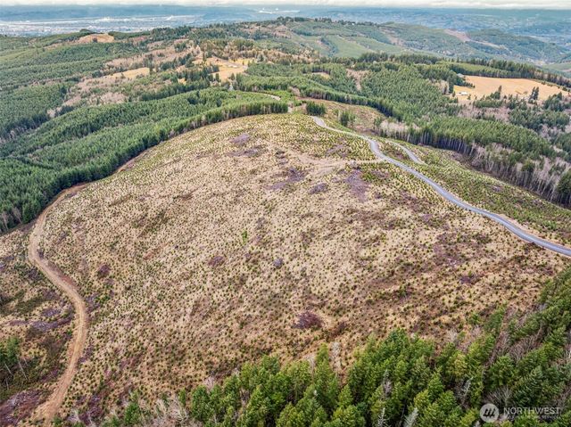 0 Lot 4 Hamilton Heights Road, Kelso, WA 98626