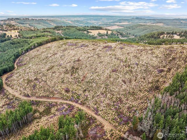 0 Lot 4 Hamilton Heights Road, Kelso, WA 98626