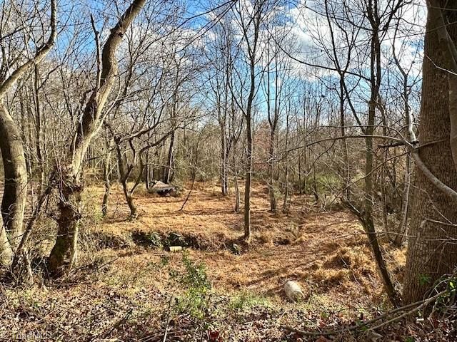 TBD Greenhorn Road, Roaring River, NC 28669