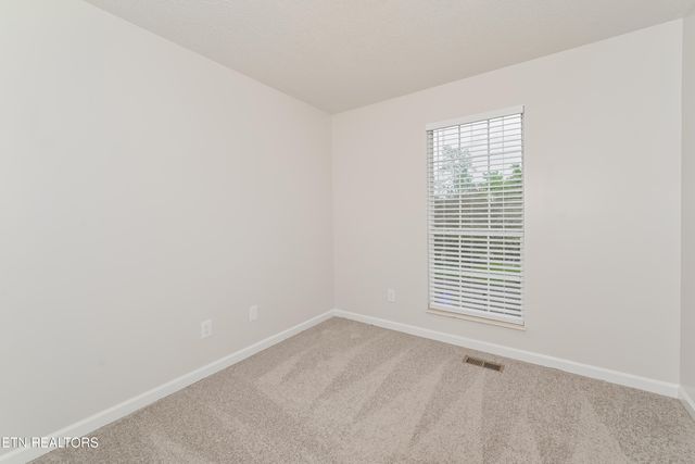 1443 Carrie Belle Drive, Knoxville, TN 37912