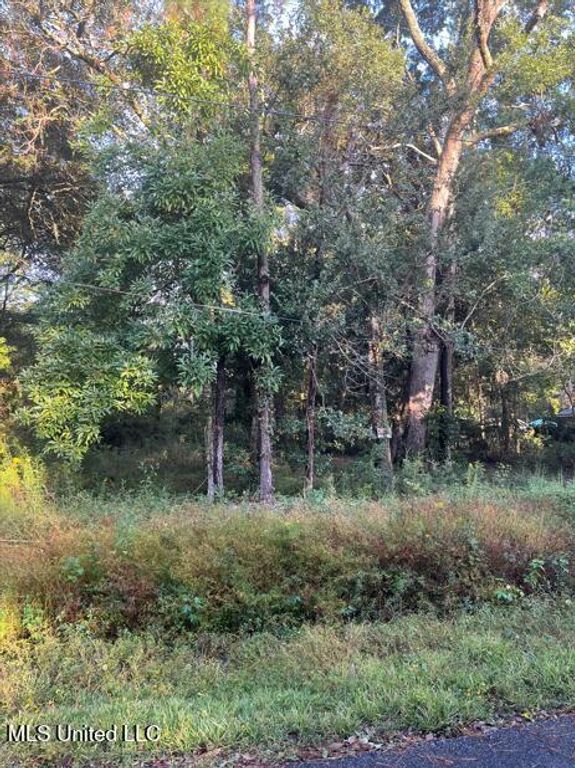 0 Dorothy Street, Ocean Springs, MS 39564