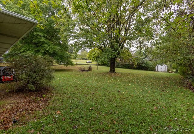 1104 Cedar Avenue, Cabool, MO 65689