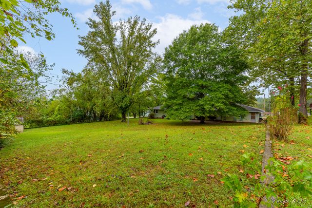1104 Cedar Avenue, Cabool, MO 65689