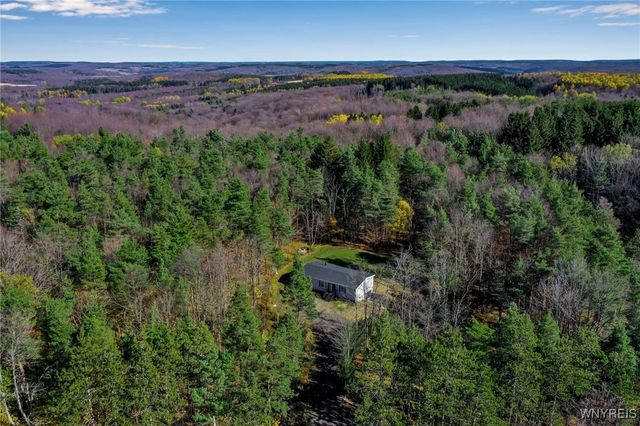 7784 Irish Hill Road, Ellicottville, NY 14171