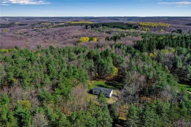 7784 Irish Hill Road, Ellicottville, NY 14171