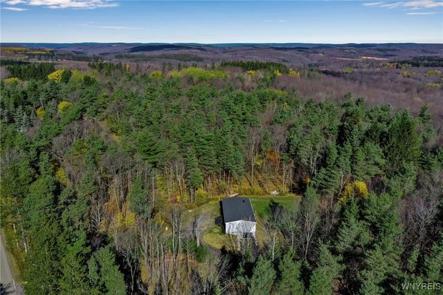 7784 Irish Hill Road, Ellicottville, NY 14171