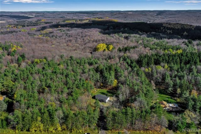 7784 Irish Hill Road, Ellicottville, NY 14171