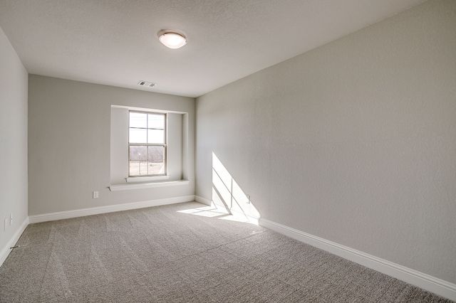 6916 Yellow Hammer Way, Arlington, TX 76001