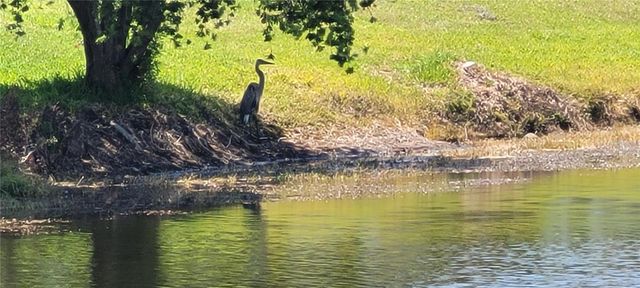 834 TREMONT GREENS LANE 137, Sun City Center, FL 33573