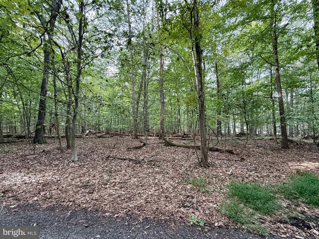 MOUNTAIN TOP W, New Hope, PA 18938 — photo 3