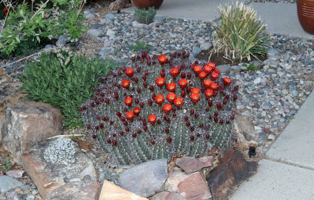 5214 Purcell Drive NE, Albuquerque, NM 87111