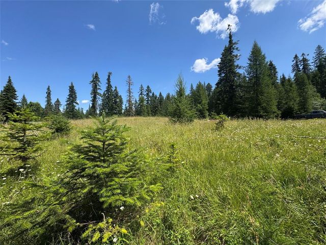 13643 Sundance Trail, Bigfork, MT 59911 property photo