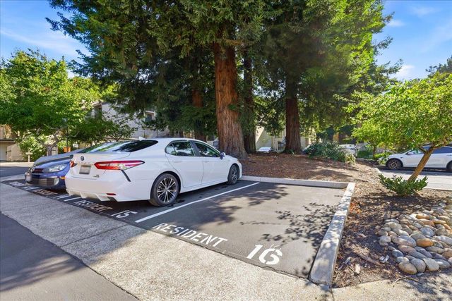 2341 Ticonderoga Drive, San Mateo, CA 94402