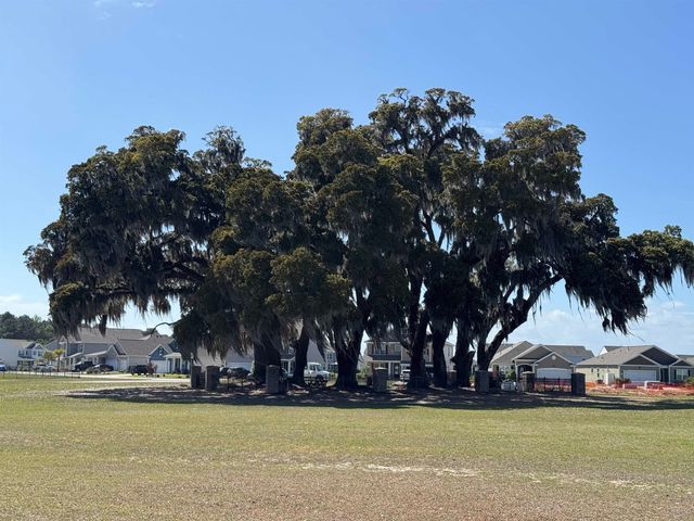 9098 Fort Hill Way, Myrtle Beach, SC 29579