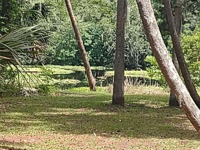 56508 BLUE CREEK ROAD, Astor, FL 32102