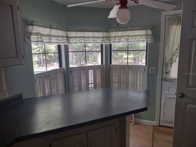 56508 BLUE CREEK ROAD, Astor, FL 32102