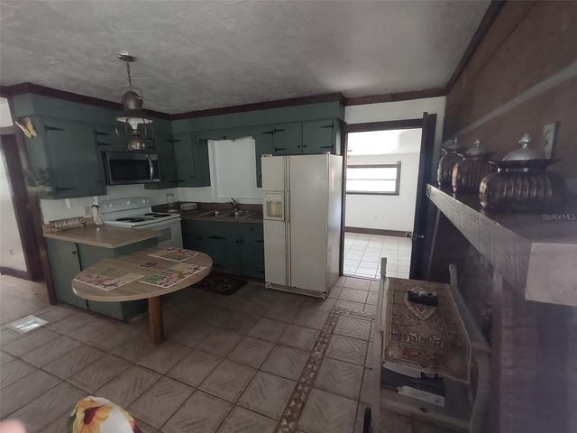 56508 BLUE CREEK ROAD, Astor, FL 32102