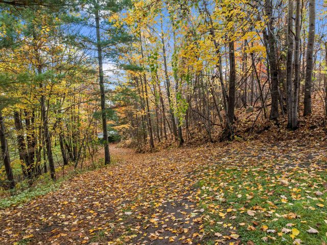 36698 Pincherry Road, Cohasset, MN 55721