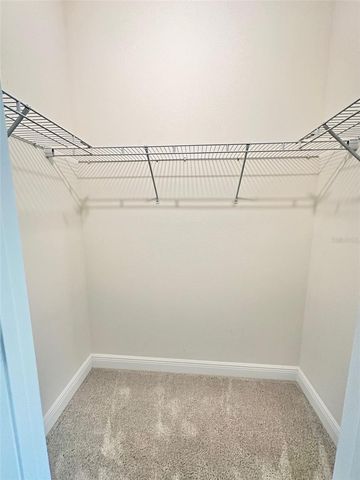 8316 PRAISE DRIVE, Tampa, FL 33625