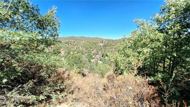 0 Coulter, Cedar Glen, CA 92321