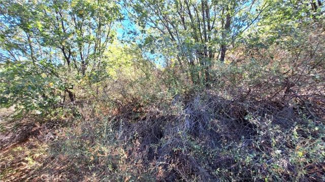 0 Coulter, Cedar Glen, CA 92321