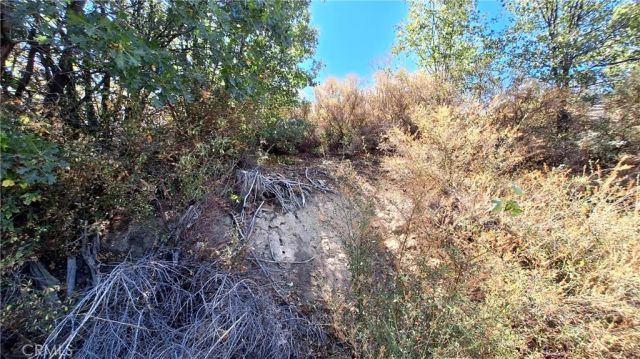 0 Coulter, Cedar Glen, CA 92321