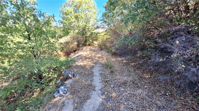 0 Coulter, Cedar Glen, CA 92321