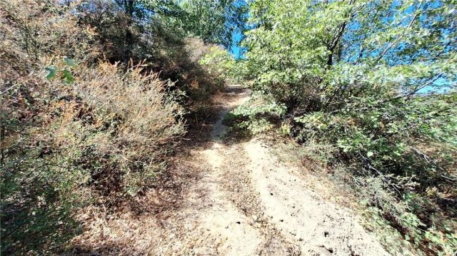 0 Coulter, Cedar Glen, CA 92321