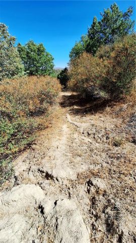 0 Coulter, Cedar Glen, CA 92321