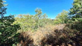 0 Coulter, Cedar Glen, CA 92321
