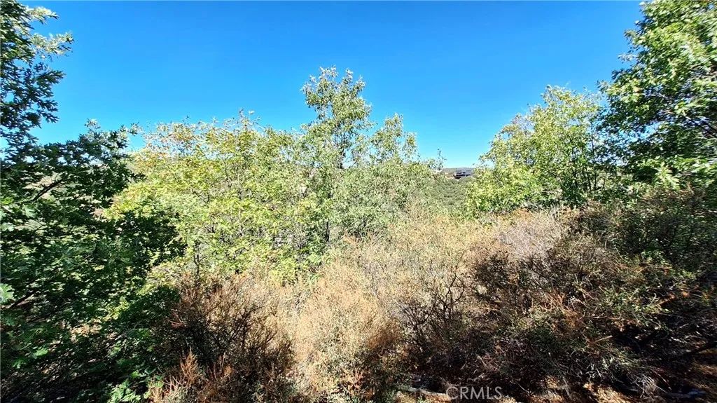 0 Coulter, Cedar Glen, CA 92321