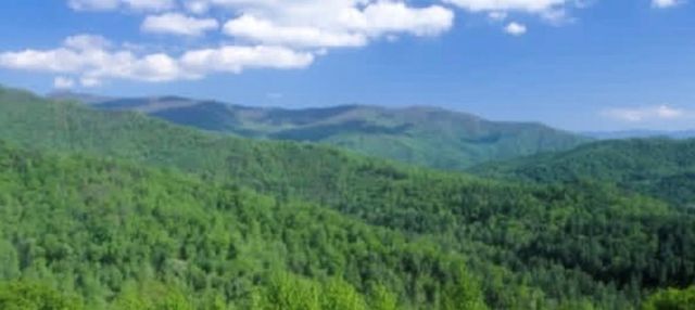 39 Moon Howler Drive, Murphy, MD 20906