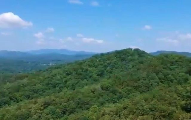 39 Moon Howler Drive, Murphy, MD 20906